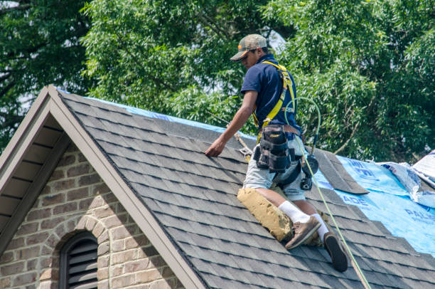 Best Roof Gutter Cleaning  in Rexburg, ID